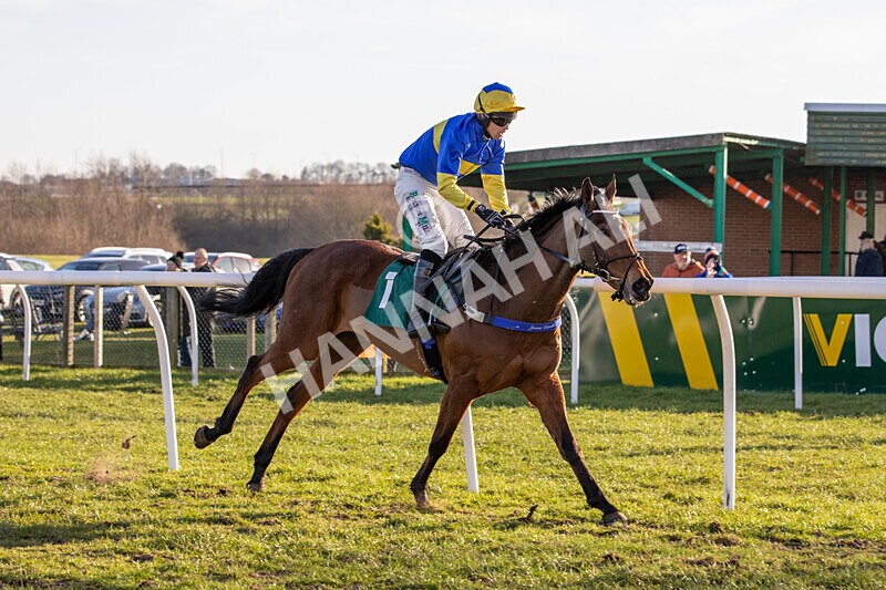 050325-Race 4-Hostile Hotelier-6964 - Race 4