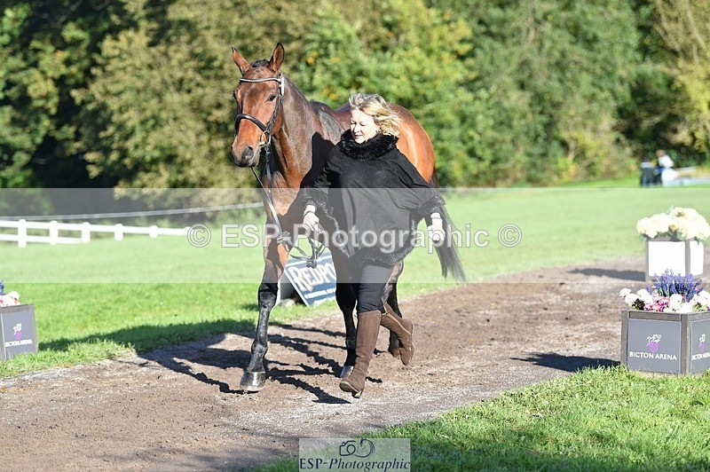 231022-102400-22453 - 478-SOARING.HEIGHTS-Samantha.Shaw-TrotUp+SJ