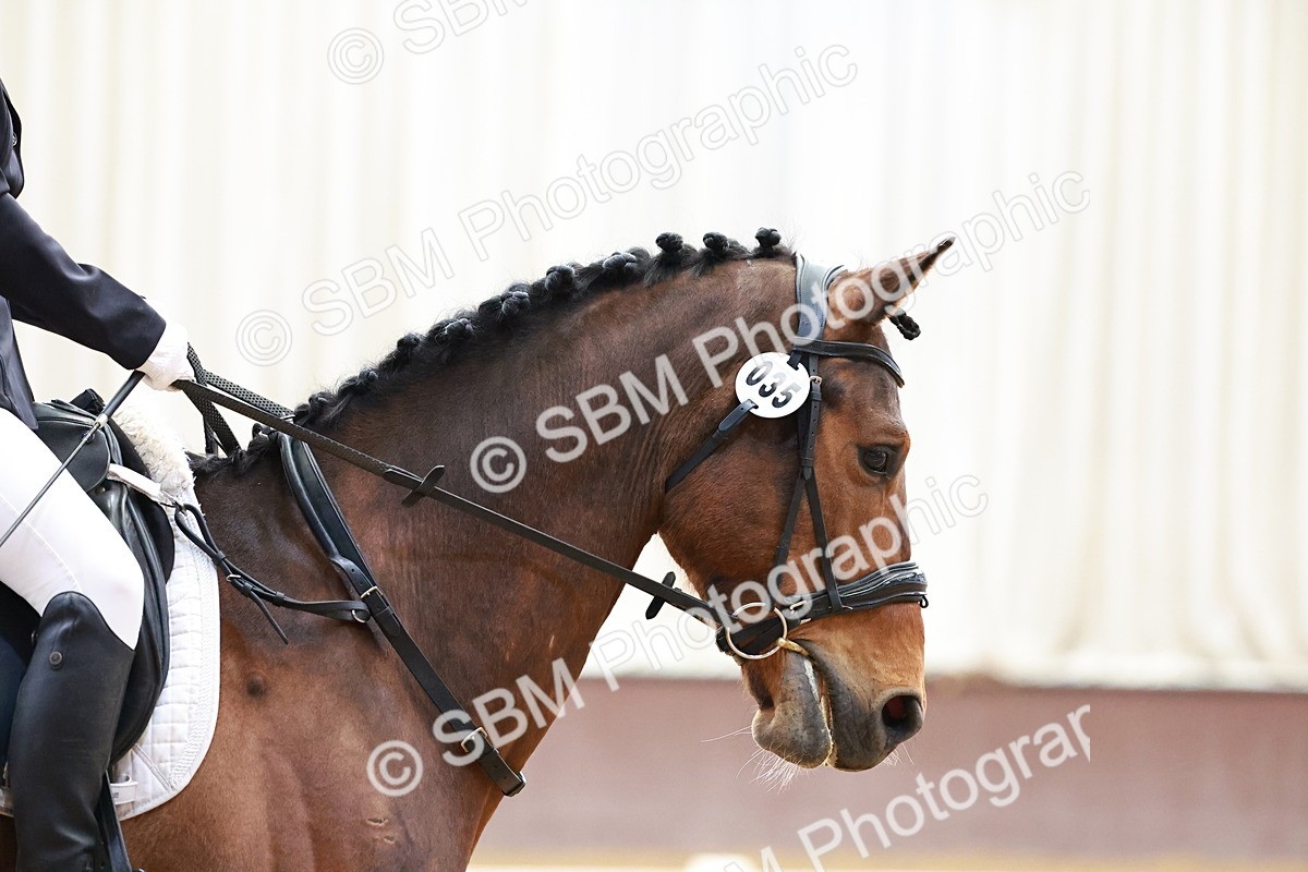 SBM_000086 - Class 1 - Intro 1