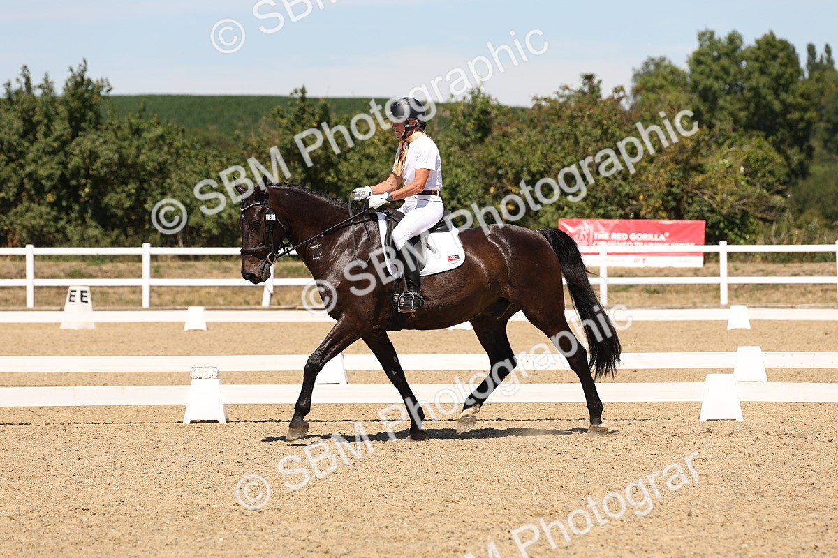 SBM_002779 - Elementary 4