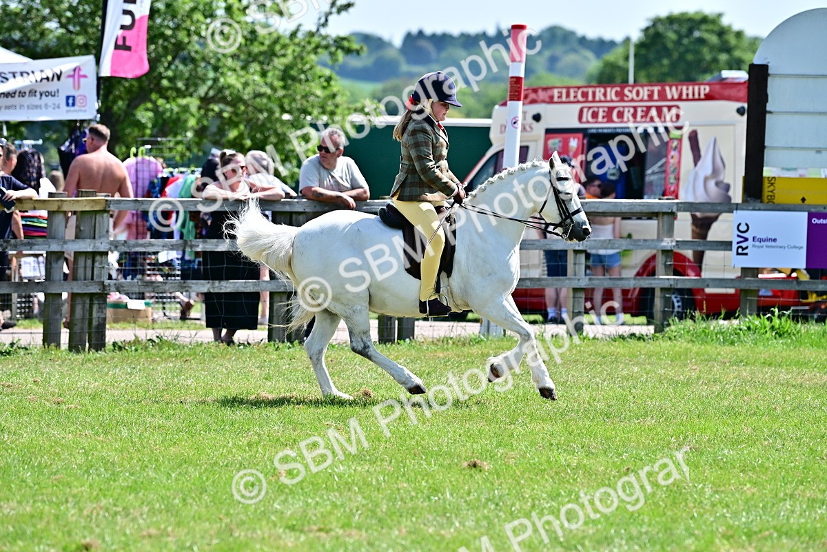 SBM_13956 - Class 95-97 - BSPS LHS Performance Ponies