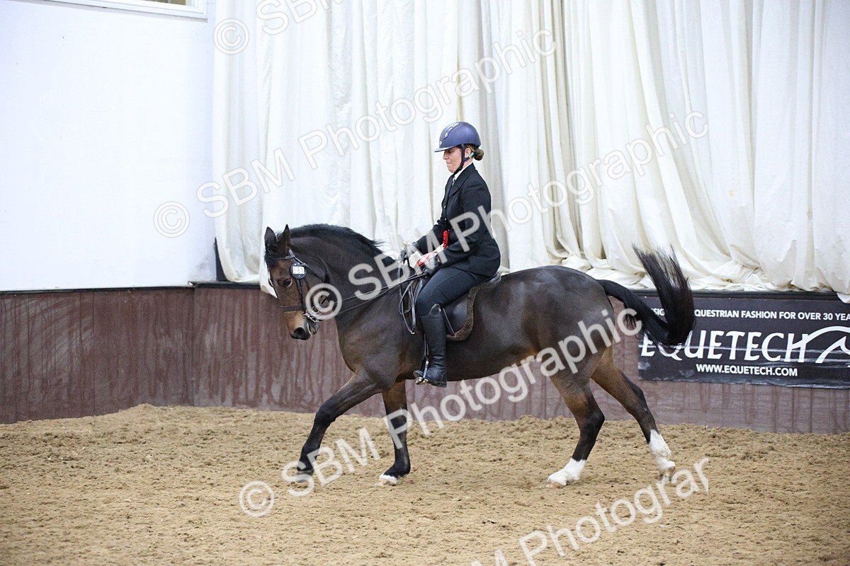 5K7A6120 - Class 48 - Ridden Mare