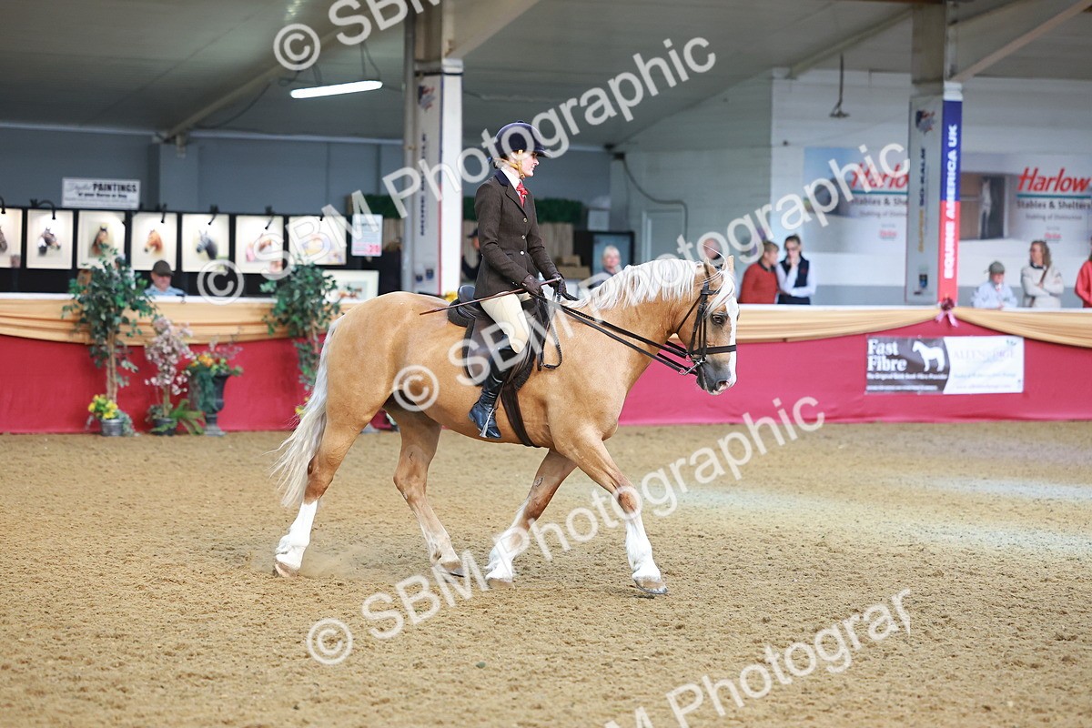 SBM_09486 - Class 102 - HOYS Veteran Qualifier - Ridden Veteran