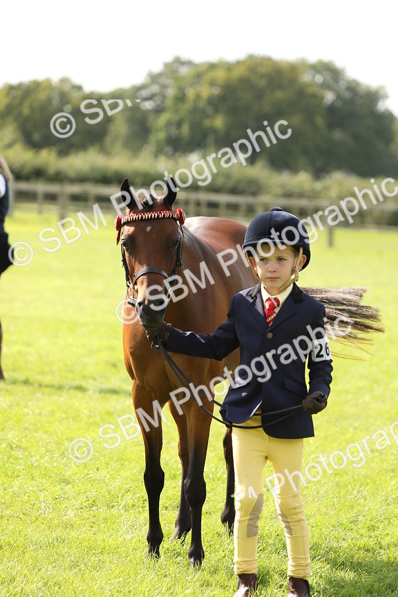 SBM_67812 - S39 - Junior Handler 8  Years & Under