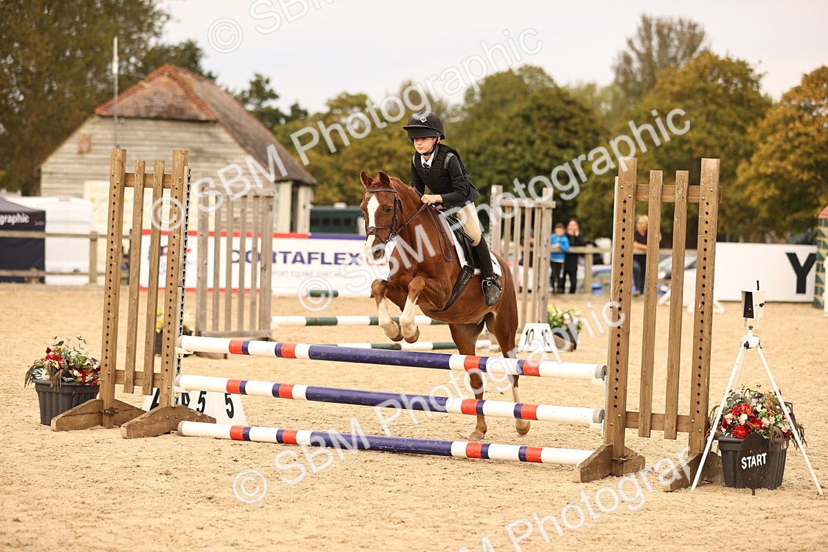SBM_72462 - J14 - Junior Pony 65cm Championship