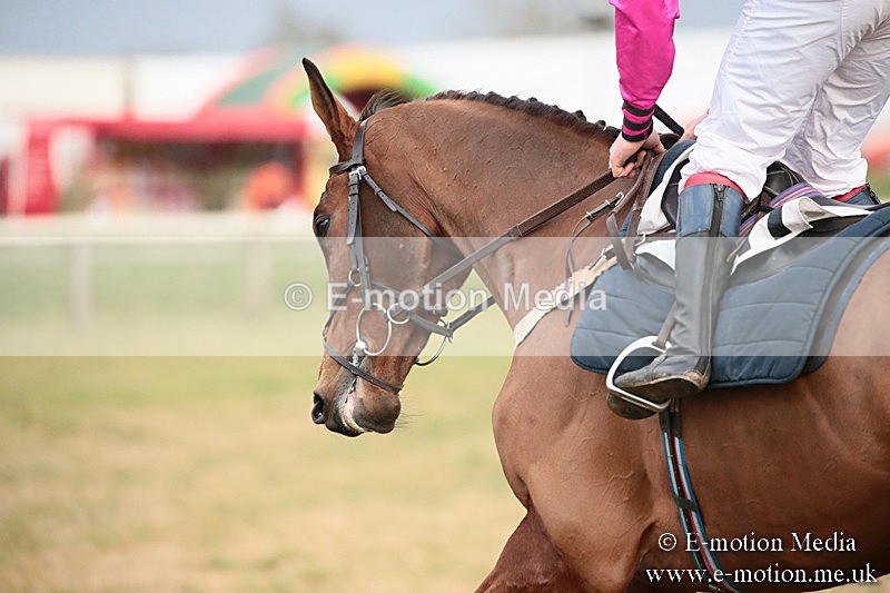 PtP 270119 558 - Cocklebarrow Races 27/01/19