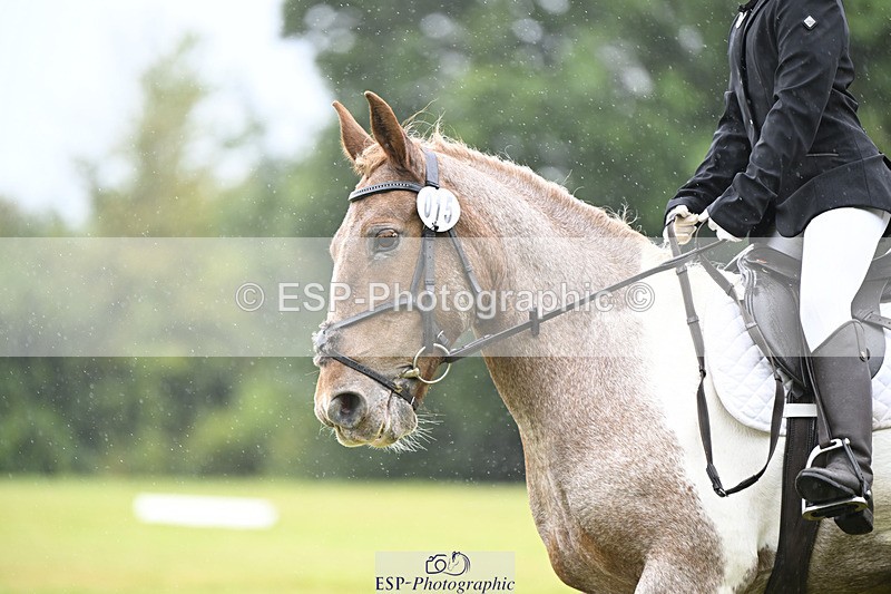 240824X-100542-21508 - D70 Section A and B 9.30 to 10.40