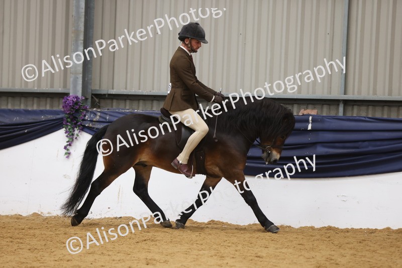 20260913-0616 - Class 126 - Novice Ridden