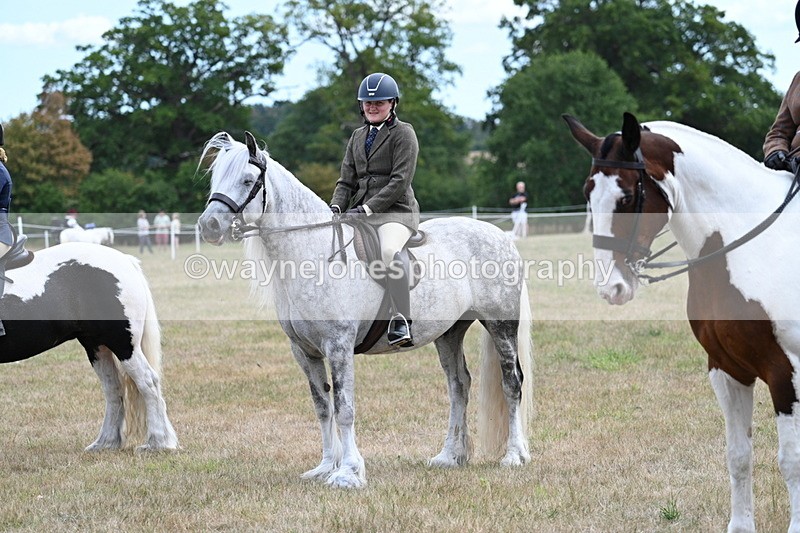 WJ7_5508 - Class 12 Ridden Cob