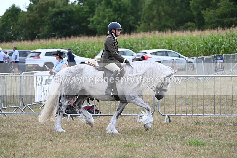 WJ7_5255 - Class 12 Ridden Cob