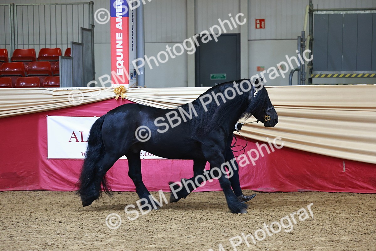 SBM_22237 - Class 902 - Supreme Final - IH Diamond