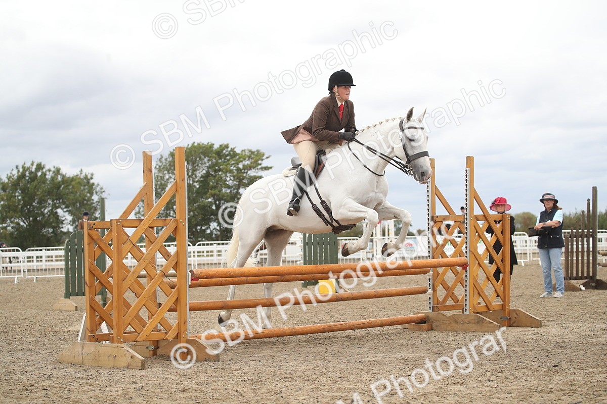 SBM_18266 - Class 509a - Working Veteran - 80cm (15-19)