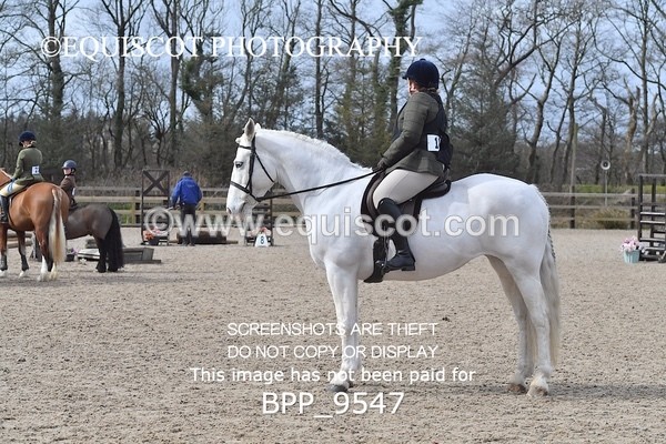 BPP_9547 - 50CM