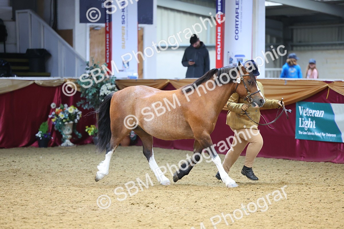 SBM_22686 - Class 903 - Supreme Final - IH Pre Vet