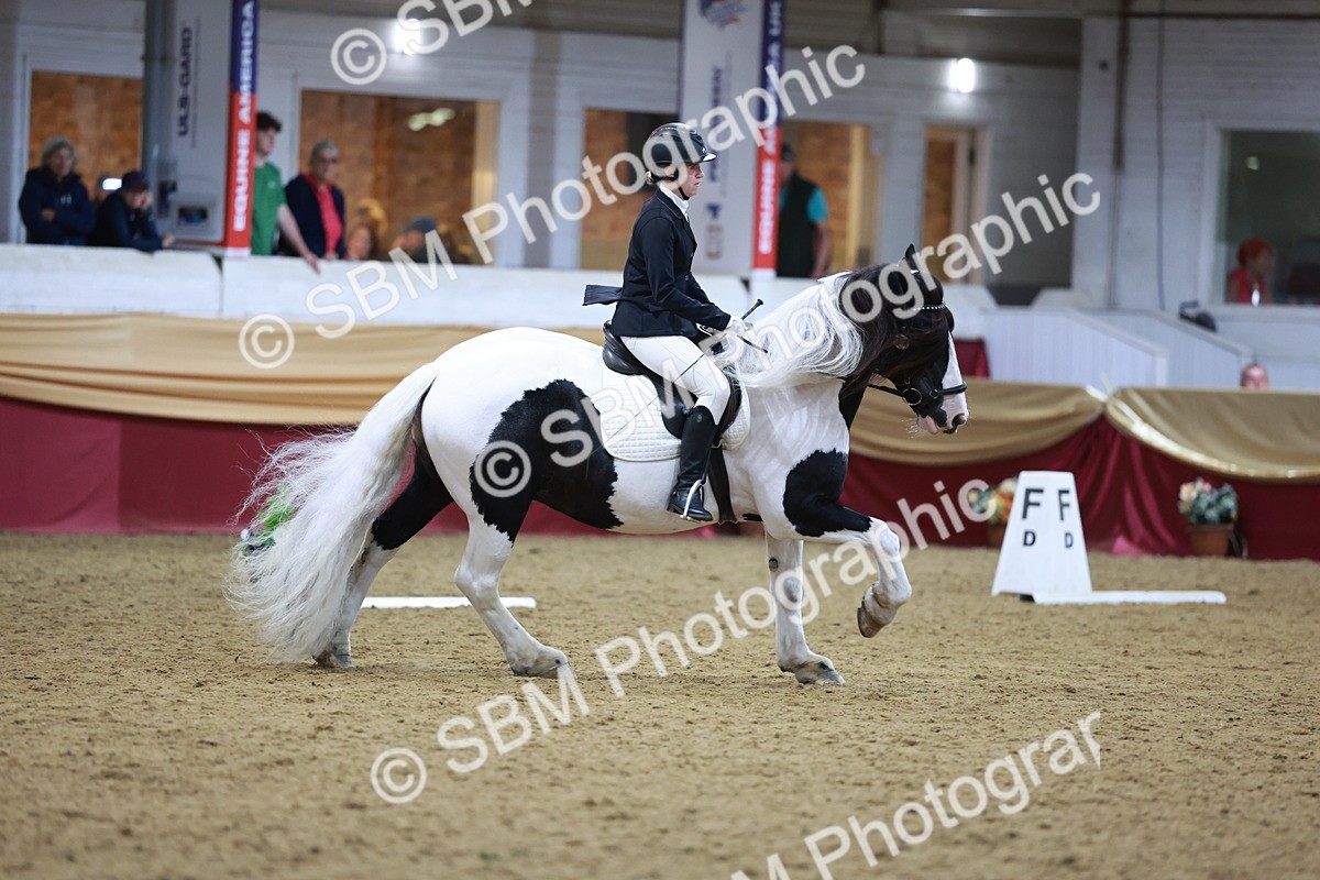 SBM_09957 - Class 61 - Dressage to Music