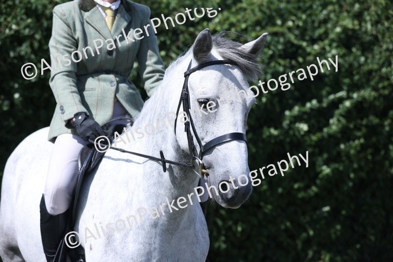 20250831-2974 - Class 19 - Mountain and Moorland