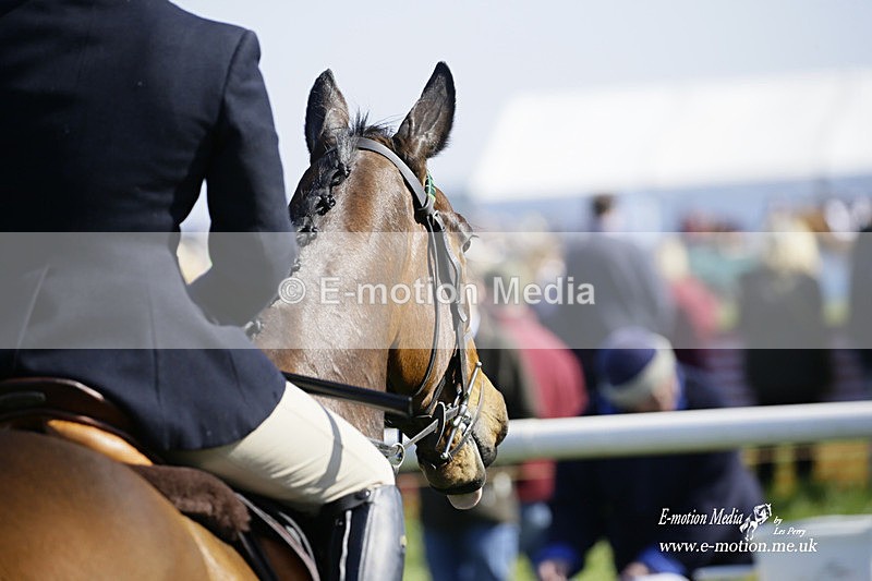 PtP 200322 7 - Mendip Farmers Point-to-Point 20/03/22