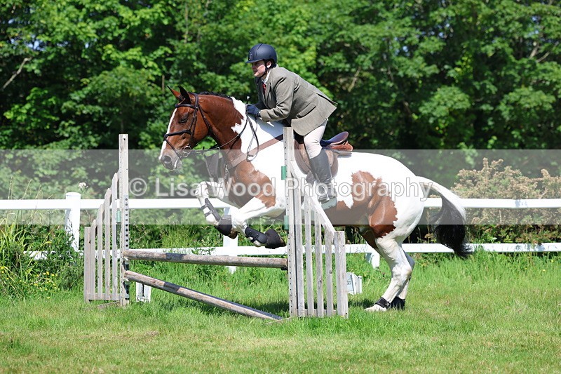 3E7A6864 - Class 30: Novice Working Hunter