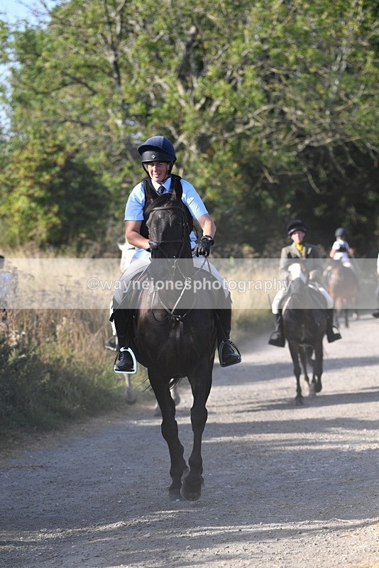 WJ5_5010 - Walk out with the hounds