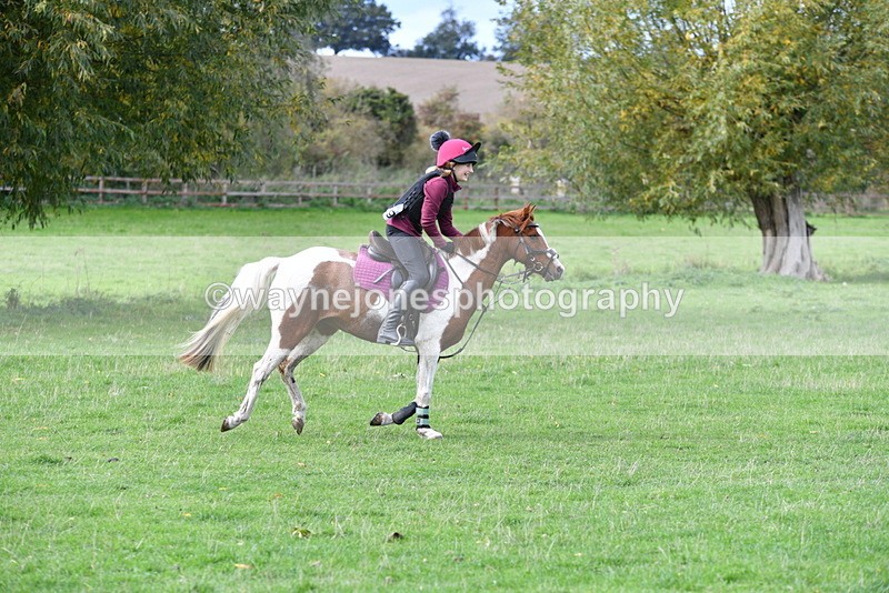 WJ5_0620 - Time 13:59 to 14:28