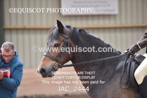 JAC_2444 - CLASS 3 Intermediate Working Hunter