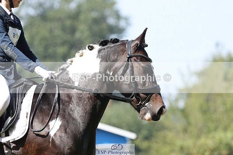 250823A-121106-29425 - Arena D