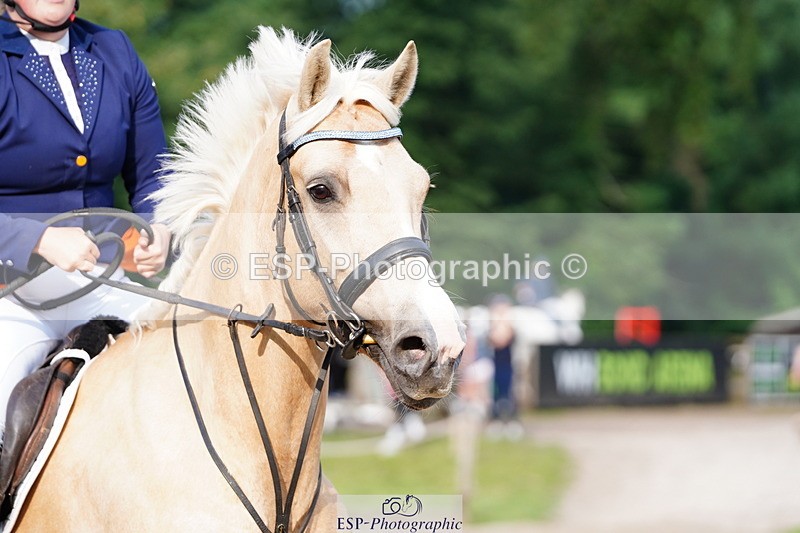 250615A-080920-09556 - Class 42 85cm Amateur Qualifer