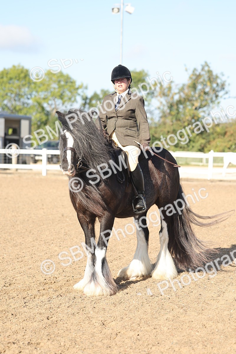 SBM_22217 - Class 802 - Ridden Groom Helpers Class