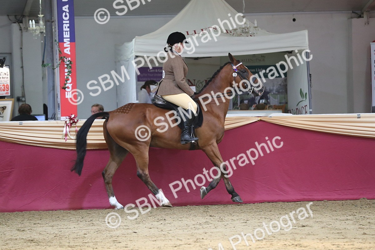 SBM_08398 - Class 11R Regional Ridden Veteran