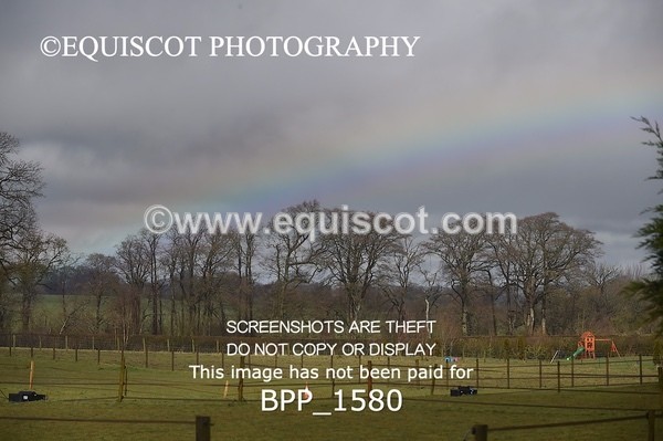 BPP_1580 - CLASS 7 Pony Discovery / 90cm Open