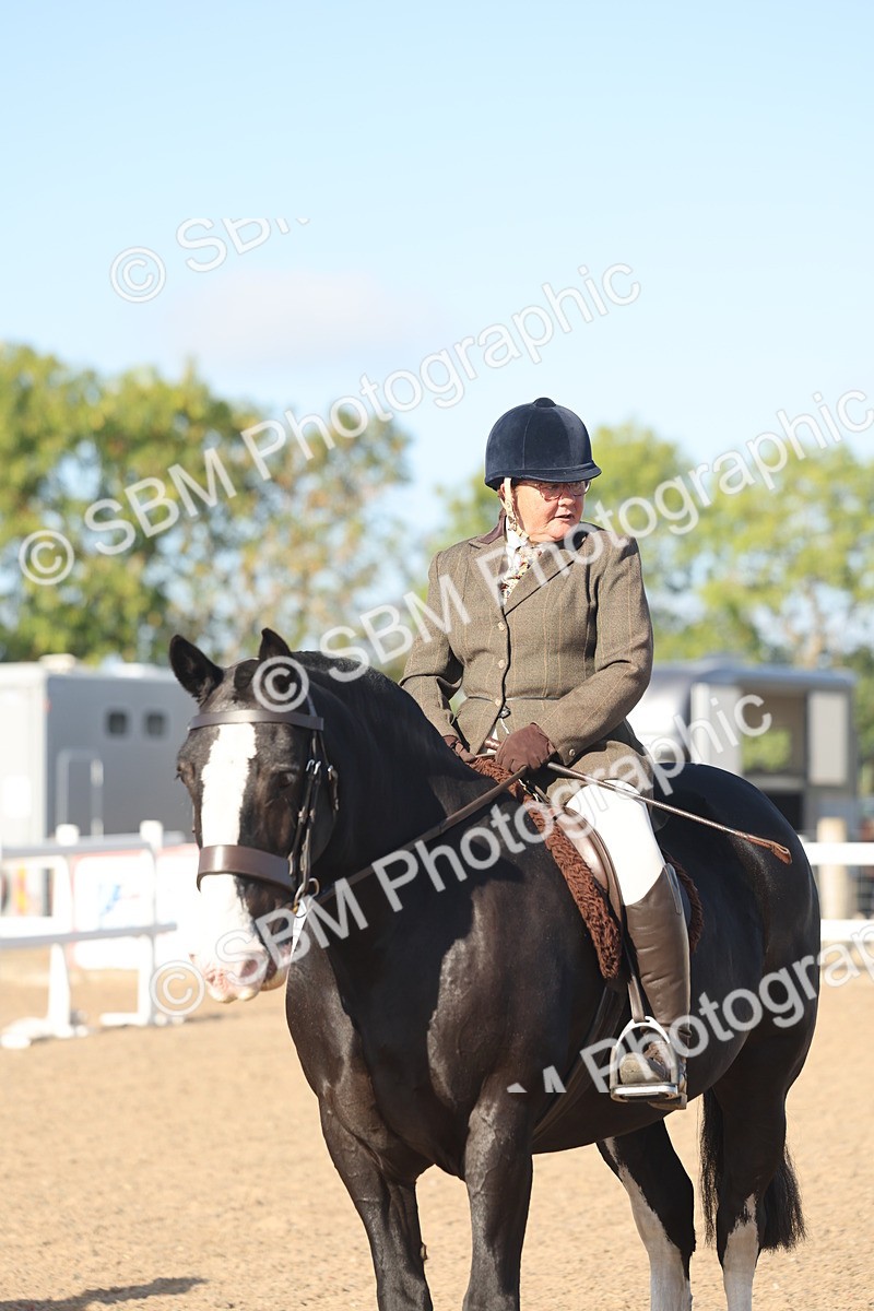 SBM_22210 - Class 802 - Ridden Groom Helpers Class