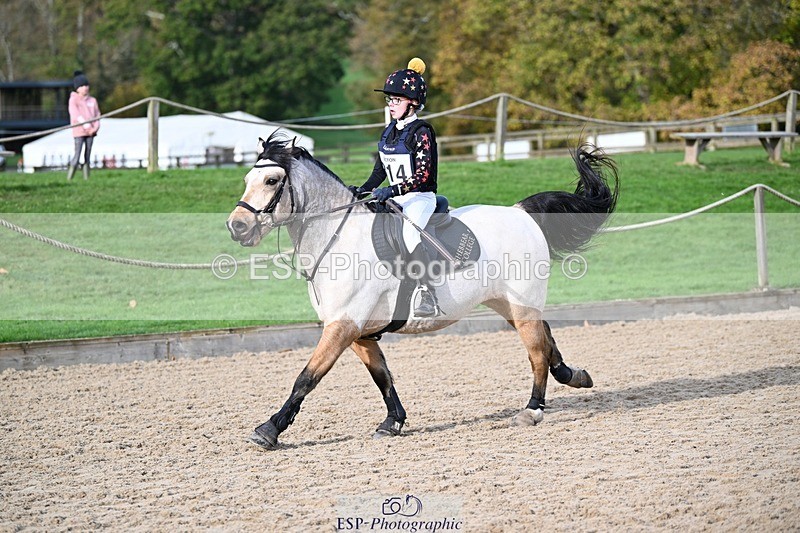 241117-110534-03398 - Cls 2 80-85cm 10.20 to 11.20