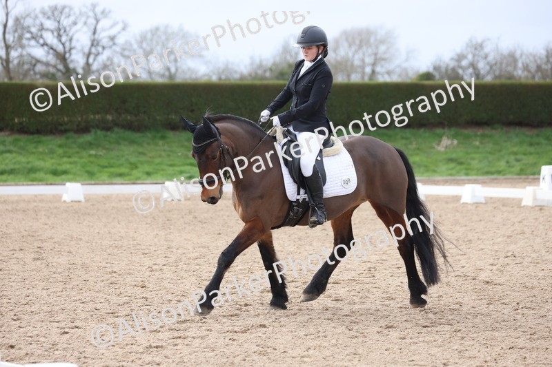 20260301-0937 - Class 6 - Elementary 5