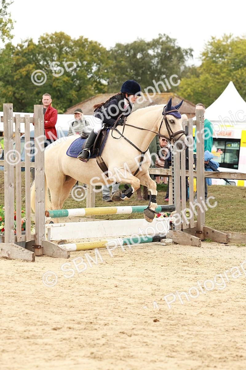 SBM_62026 - J12 - Junior Pony 55cm Championship