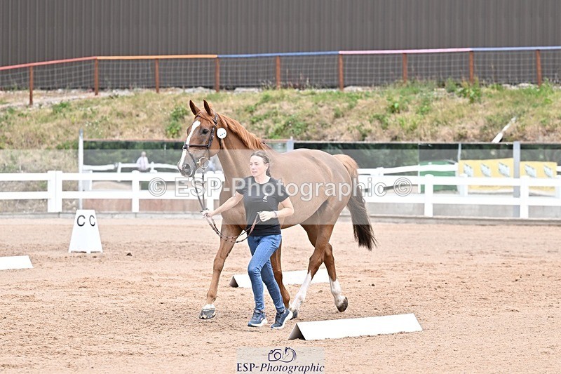 250716-134934-00678 - Trot Up 1.30 to 2.30