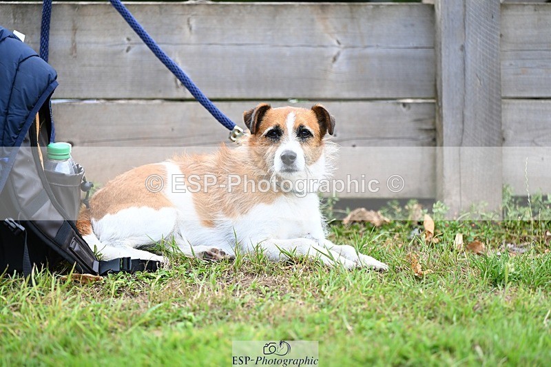 240710-155828-23799 - Cls 102 1.20m Open