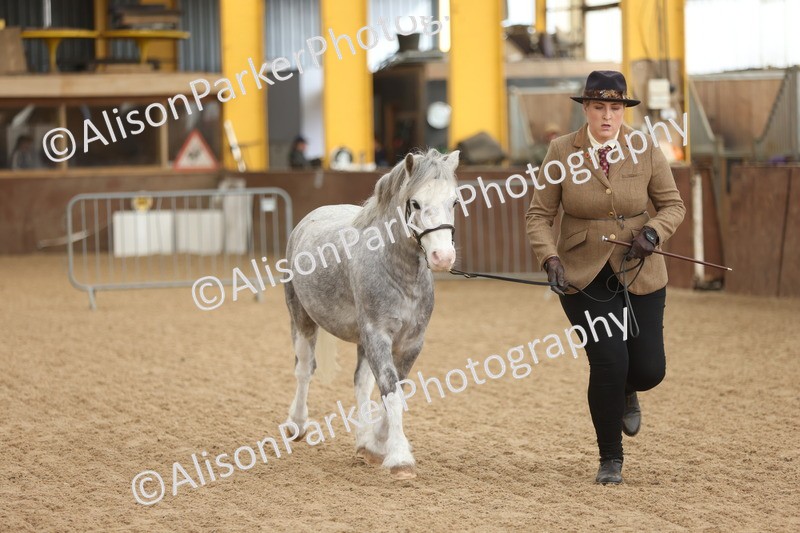 20251109-0641 - Class 22 - Geldings 4 Years and over