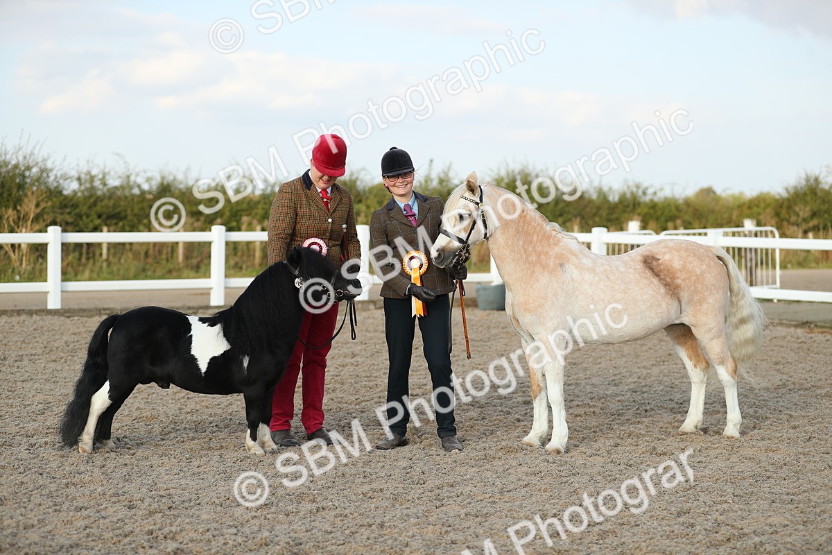 SBM_09138 - Class 29 IH Veteran Pony