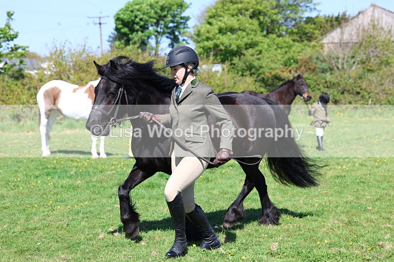 3E7A9883 - Class 17: Young Handler