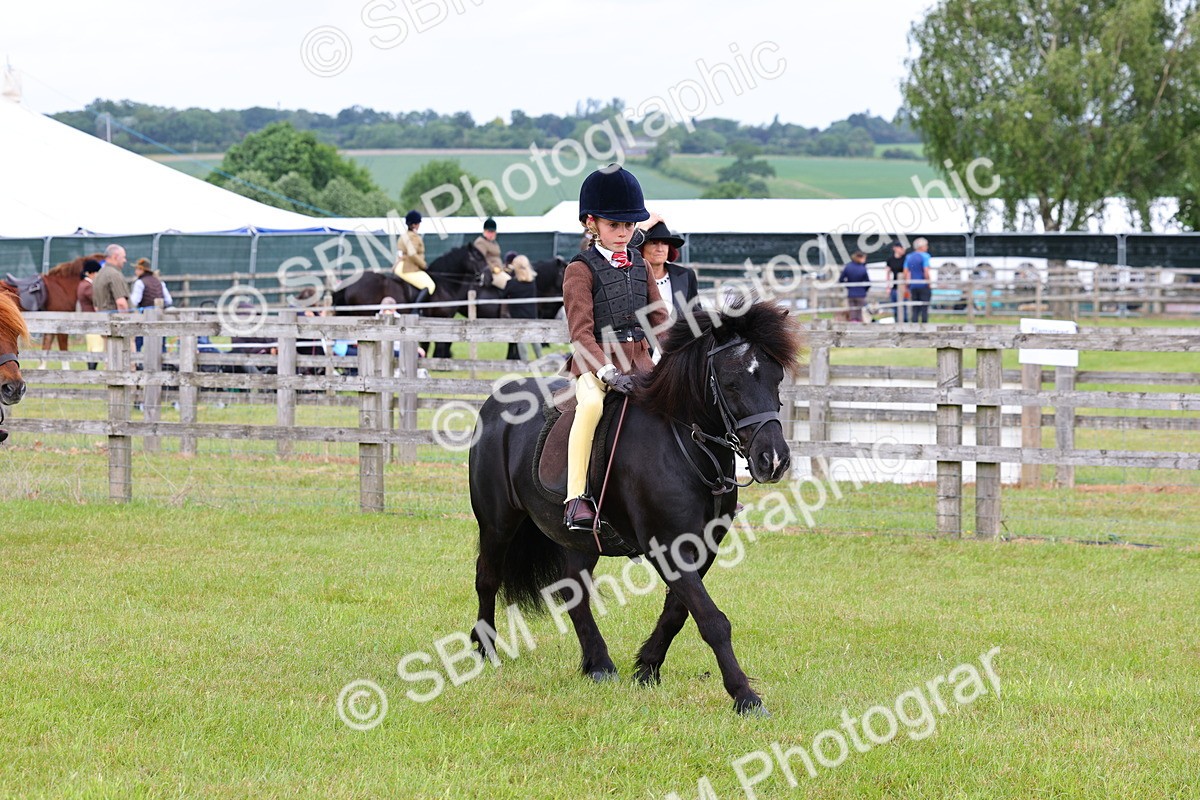 SBM_08564 - Class 42-43 - LIHS BSPS Heritage Working Sports Pony