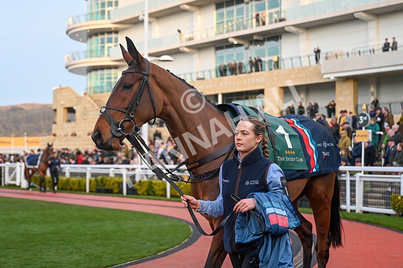 250125-Race 7-Bill Joyce-3766