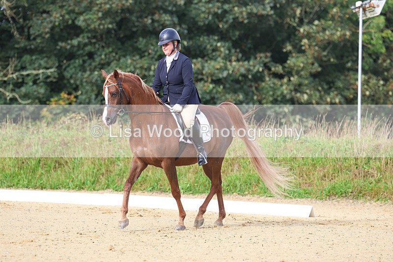 3E7A1891 - Class 1: Intro 4 2024 section A