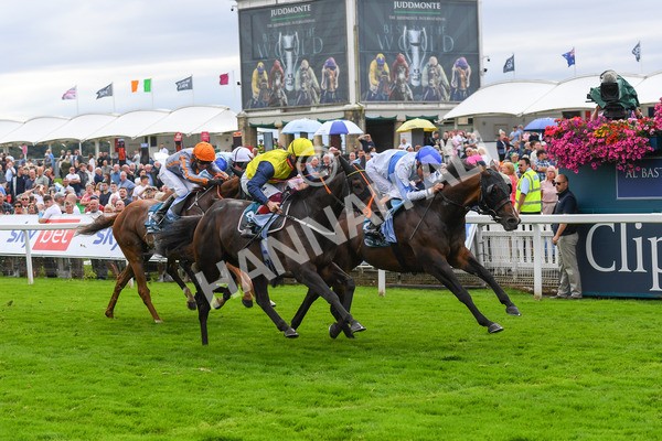 240823-Race 3-Ropey Guest-0388 - Race 3 3.00pm Clipper Handicap