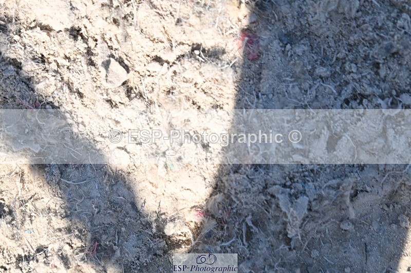 240811-154107-06779 - Inter I Gold