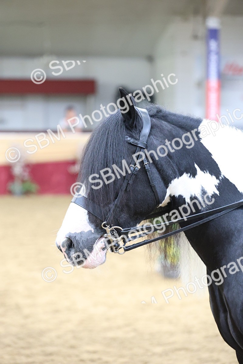 SBM_23666 - class 906 - Supreme Final - Ridden Pre Vet