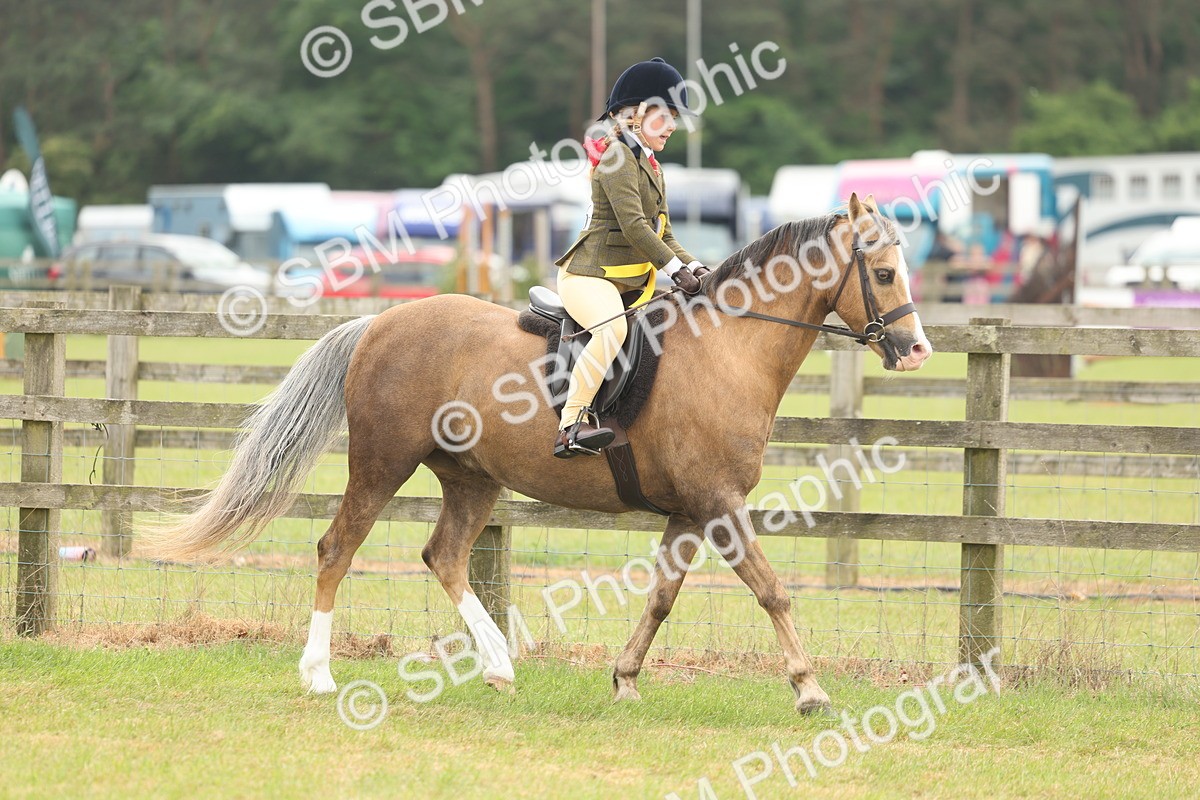 SBM_06922 - Class 74-75 - M&M Lead Rein and First Ridden Pony