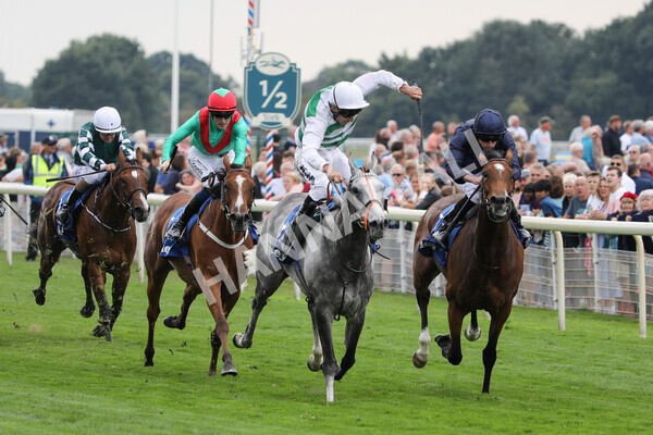 yr18082022r4-27 - Race 4 3.35pm Darley Yorkshire Oaks (British Champions Series Race)