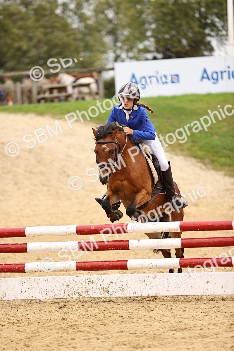 SBM_65800 - J17 - Junior Pony 80cm Championship