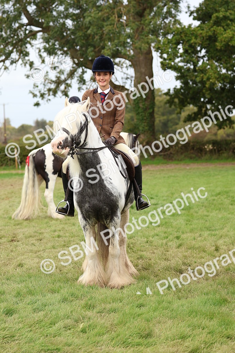 SBM_64446 - S58 - Coloured Pony Ridden