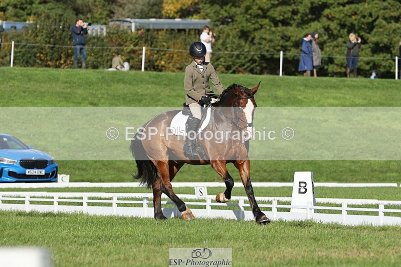 251024A-112148-09961 - D-351-Thomas.Harris